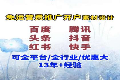 专业SEM服务公司案例分析报告