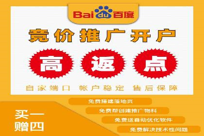 竞价推广公司经典案例：打造行业领先的广告投放效果