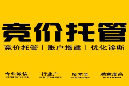 竞价推广实战经验：成功案例分享会